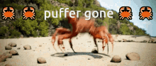 Puffer Gone GIF - Puffer Gone Oh GIFs