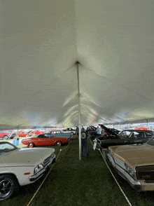 a row of cars are under a white tent