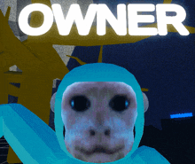 a picture of a monkey with the word owner behind him