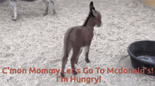 Mcdonalds Baby Donkey GIF