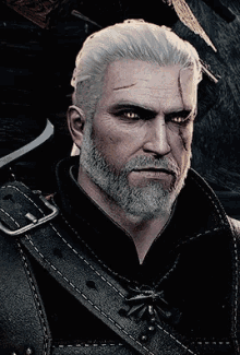 Witcher3 Stare GIF - Witcher3 Stare Blink GIFs
