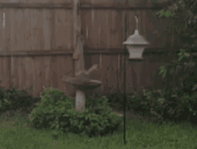 a bird feeder is hanging from a pole in a yard next to a wooden fence .