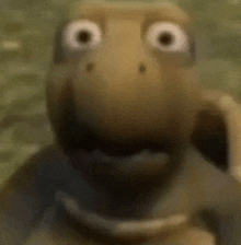 turtle shocked meme gif｜TikTok Search