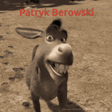 Patryk Berowski GIF - Patryk Berowski GIFs
