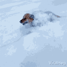 Running In Snow Viralhog GIF - Running In Snow Viralhog Run Fast GIFs