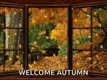 Leaves Autumn GIF - Leaves Autumn Window GIFs