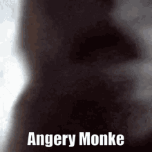 Anger Monke GIF - Anger Monke Monkey GIFs