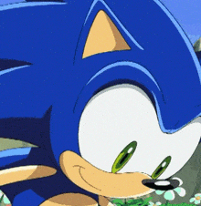 Sonic X Flower Sonicthehedgehog GIF - Sonic X Flower Sonic Sonic X GIFs