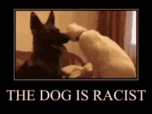 a poster that says the dog is racist