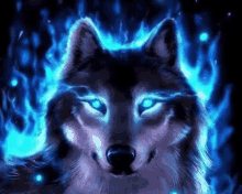 Wolf Blue Eyes GIF - Wolf Blue Eyes GIFs