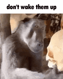 Dont Wake Them Up Don'T Wake Them Up GIF - Dont Wake Them Up Don'T Wake Them Up GIFs