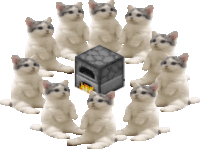Furnace Cats Campfire Meme Sticker - Furnace Cats Campfire Meme Cats In Circle Stickers