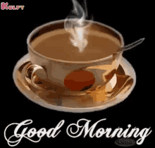 Good Morning Cup Of Coffee GIF - Good Morning Cup Of Coffee Have A Nice Day GIFs