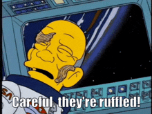 The Simpsons Careful They'Re Ruffled GIF - The Simpsons Careful They'Re Ruffled Deep Space Homer GIFs
