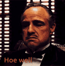 Godfather Oh Well Don Corleone GIF - Godfather Oh Well Don Corleone GIFs
