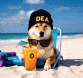 a dog wearing sunglasses and a hat that says dea on it