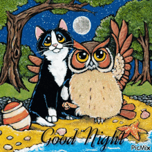 Good Night Cat GIF - Good Night Cat Owl GIFs
