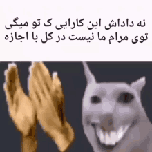 a dog is giving a high five to a person in a foreign language while they are praying .