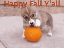 Happy Fall Yall Corgi GIF - Happy Fall Yall Corgi Cute GIFs