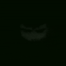 a close up of a person 's face with a slight smile