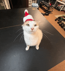 Cat Orange Cat GIF - Cat Orange Cat Christmas Cat GIFs