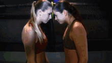 female wrestling wrestlers staredown hot girls