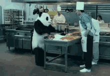 Panda Enojado En La Cocina A Color GIF - Panda Tantrums Mad GIFs