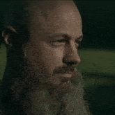 a bald man with a beard and mustache looks to the side