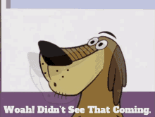 Johnny Test Dukey GIF - Johnny Test Dukey Woah Didnt See That Coming GIFs