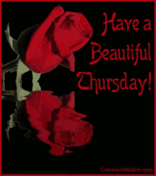Have A Beautiful Thursday Happy Thursday GIF - Have A Beautiful Thursday Happy Thursday Red Rose GIFs