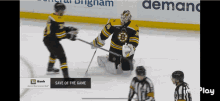 Boston Bruins GIF - Boston Bruins Linus GIFs