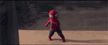 Spiderbaby2 GIF - Spiderbaby2 GIFs