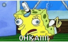 a cartoon of spongebob says ohkaiii