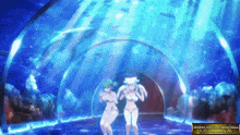 two girls in bikinis are dancing in an aquarium with a sign that says " senran kagura "
