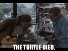 Pet Cemetary Turtle GIF - Pet Cemetary Turtle Died GIFs