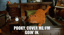 Garfield Pooky Cover Me Im Goin In GIF - Garfield Pooky Cover Me Im Goin In Going In GIFs