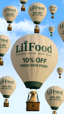 a dog is in a hot air balloon that says liifood freshly made with love