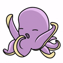 octopus animal