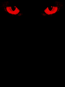Cat Eyes GIF - Cat Eyes Blood GIFs