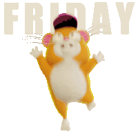 a hamster wearing a pink hat is jumping in the air with the word friday behind it