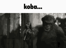 Koba Keeb GIF - Koba Keeb Keebler GIFs