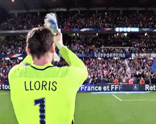 football-lloris.gif