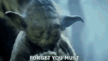 Star Wars Yoda GIF - Star Wars Yoda Forget GIFs