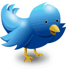 twitter bird cute blue bird