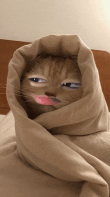 a cat is wrapped in a blanket with a pink lip