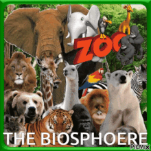 Biosphere The Biosphere GIF - Biosphere The Biosphere GIFs