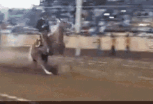 Hurry Up Rodeo GIF - Hurry Up Rodeo Cowboy GIFs