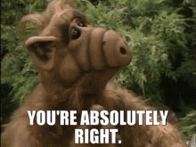 Alf Youre Absolutely Right GIF - Alf Youre Absolutely Right You Are Right GIFs