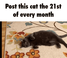 Post This Cat Post This Cat Every Month GIF - Post This Cat Post This Cat Every Month Sochi GIFs