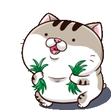 Weed Cat Sticker